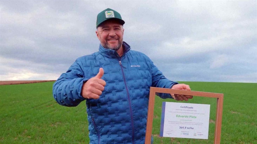 Milho brasileiro bate recorde com 369 sacas por hectare