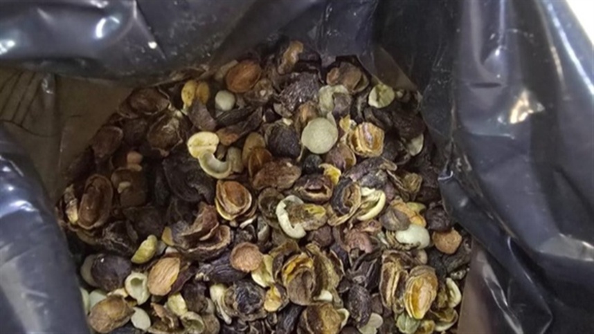 Operação apreende 82 toneladas ligadas ao café