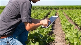 Finanças Privadas registram aumento de contratações no agro em maio