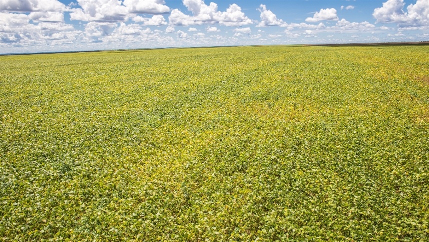 Nova regra muda pedidos de prorrogação de dívidas do crédito rural