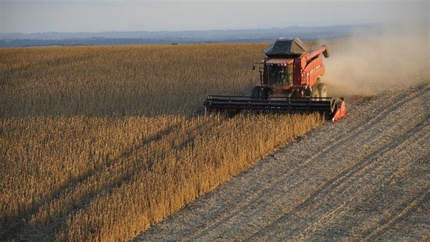 Produção de soja no Brasil mantém riitmo firme em 2024