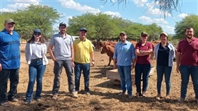 RS: SIA realiza gira técnica na região do Chaco Paraguaio