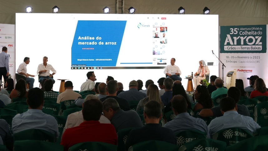 Reunião da Câmara Setorial do Arroz vai buscar alternativas práticas para crise do setor