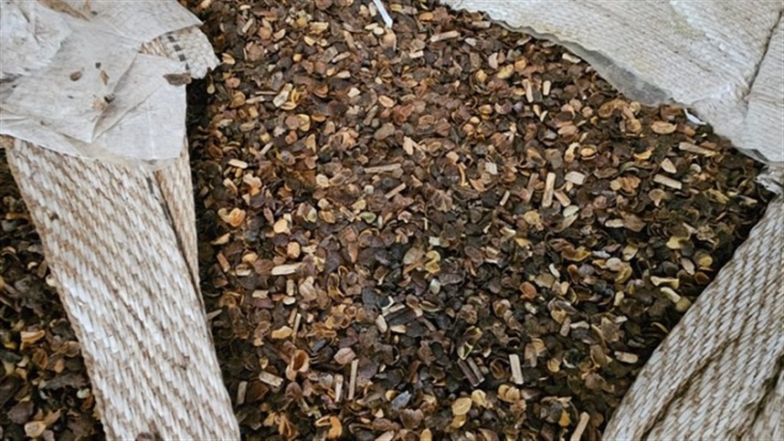 Café apreendido é destinado à compostagem no Paraná