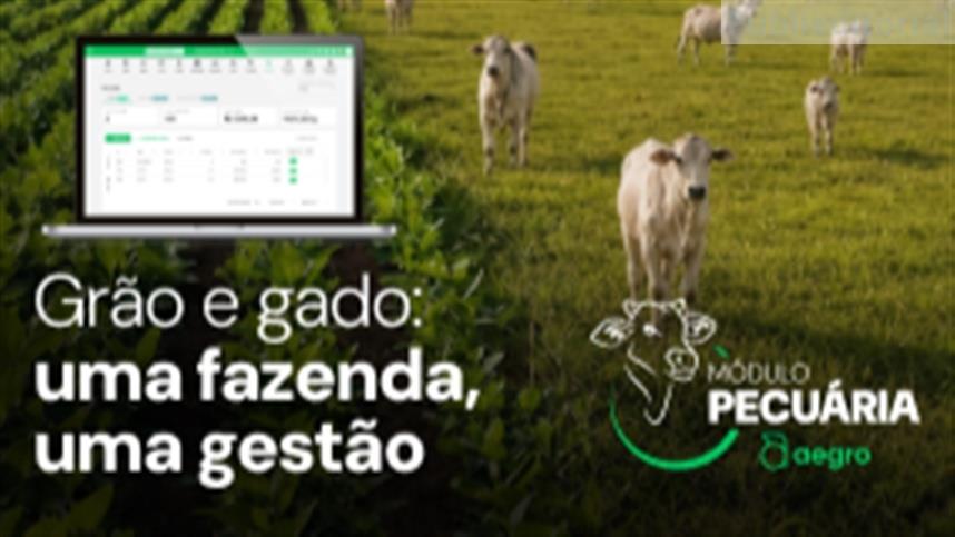 Sua pecuária com números reais. O Aegro lança o módulo de gestão do rebanho