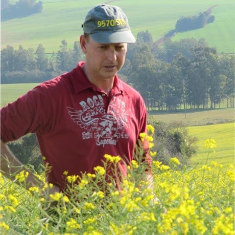 Produtor de canola Colorado