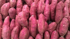 IAC vence prêmio com batata-doce biofortificada