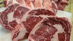 Brasil lidera exportações de carne bovina em setembro