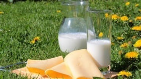 Preços de derivados lácteos sobem em julho no Paraná