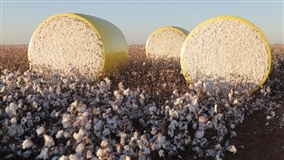 Campo, fio e design: o Brasil nos bastidores do jeans