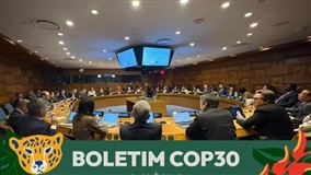 Brasil apresenta roadmap para zerar desmatamento até 2030