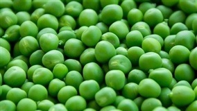 Enlatados: nutrição, praticidade e sustentabilidade