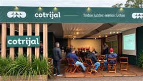 Cuidados na implantação da soja durante a Femate