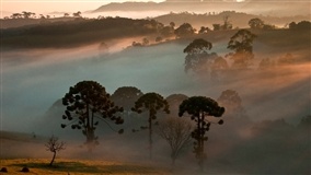Nova frente fria altera clima no Sul, Sudeste e Centro-Oeste
