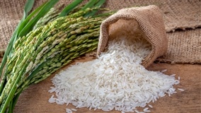 Abiarroz lança campanha para para valorizar arroz brasileiro
