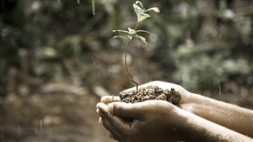 Saiba os impactos do La Niña na safra 2025/26