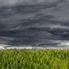 Dezembro será o ÁPICE do El Niño?