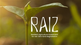 Brasil lança iniciativa global para recuperação de áreas