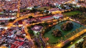 Amendoim avança em produtividade