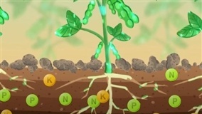 Fertilização de precisão ganha força com IA