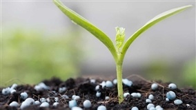 Câmara aprova incentivo à indústria de fertilizantes