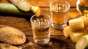 Cachaça catarinense vence prêmio nacional de qualidade