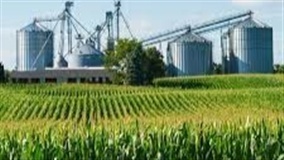 Produção agroindustrial recua 2,1% em agosto