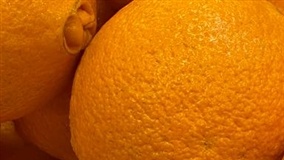 Fruit Brasil 2025 começa hoje