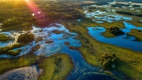 Monitoramento de biomas apoia políticas e exportações