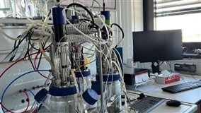 Biotecnologia nacional aposta em multiômicas e leveduras