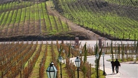 Vale dos Vinhedos se prepara para Temporada de Inverno
