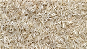 Inscrição para Selo Ambiental do Arroz é prorrogado