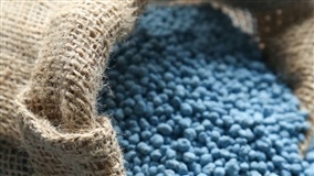 Produção de fertilizantes é tema de segurança nacional