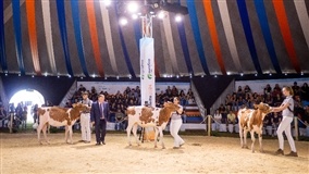 550 animais vão participar do julgamento no Agroleite