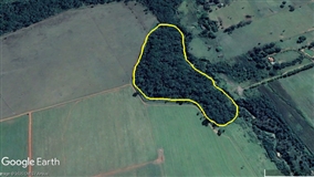 Ferramenta valoriza restauração de matas ciliares no Cerrado