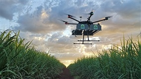 Drones impulsionam nova era da agricultura