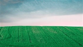Comissão aprova uso do ITR para capacitação rural