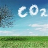 Agricultores receberão créditos de carbono após colheita