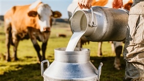 Produção de leite avança 7,5% em Santa Catarina