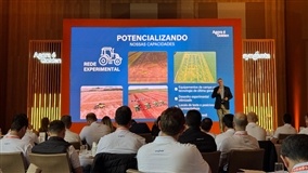 Golden Harvest anuncia nova estratégia de negócio
