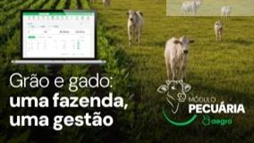 Pecuária no Aegro: gestão com números reais