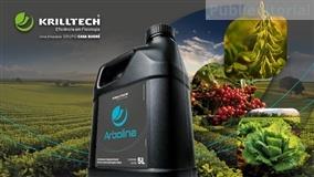 Arbolina melhora desempenho e rentabilidade no campo