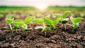 Informações Gerais