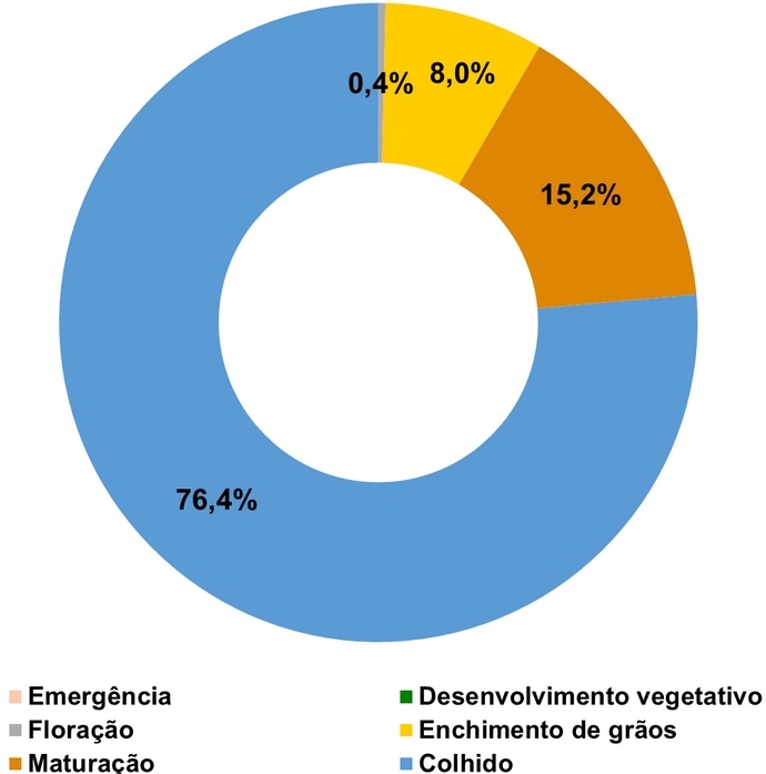 SOJA: lavouras tardias com produtividades excepcionais