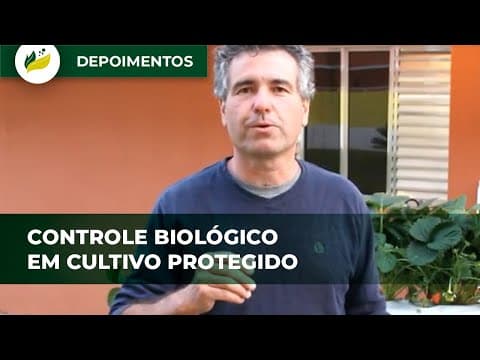 Controle biológico em cultivo protegido