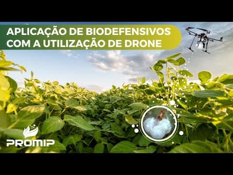 Aplicação de biodefensivos com a utilização de drone