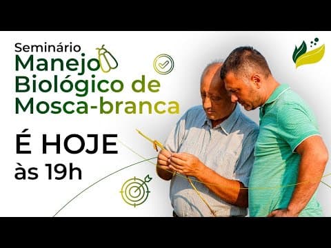 MANEJO BIOLÓGICO DE MOSCA-BRANCA