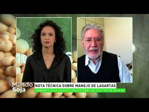 Mundo Soja com Daniel Sosa Gómez | AgroMais