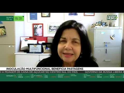 Inoculação multifuncional beneficia pastagens
