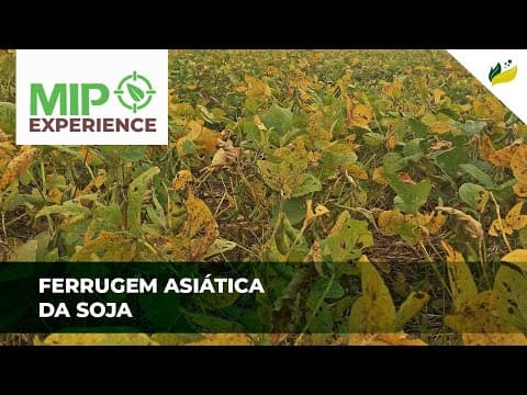 Ferrugem asiática da soja